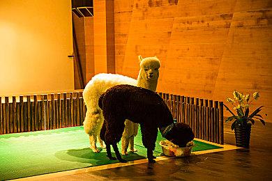 准备好面对自己 —— 《镜杀》将于9月23日开启抢先体验